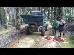 WEA08 야자유 견인차