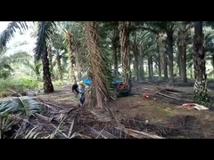 4륜 구동 14hp 디젤 팜 오일 트랙터 장비 휠베이스 2150mm