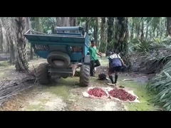 1325 밀리미터는 그래플과 기계 하중 1250 킬로그램을 획득하는 택시 야자유를 엽니다